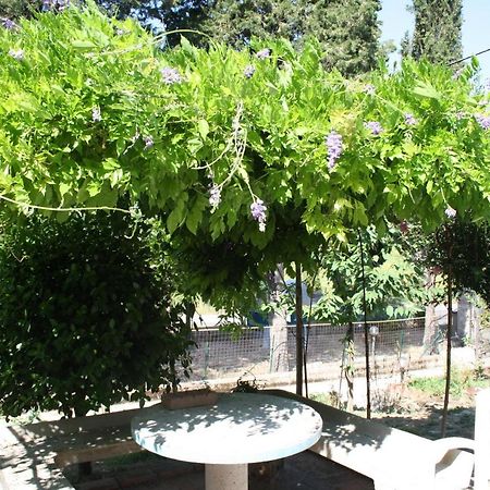 B&B Al Frantoio Chiusi Exterior photo